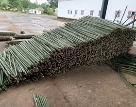 تصویر قیم بامبو از ۱متر تا ۲ متر قیمت عمده ۱۰۰۰۰ عددی قطر ۲ و ۳ Guardian of bamboo seedlings