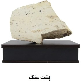 تصویر سنگ شجر فسیلی (دندریتی ) کد 2356 