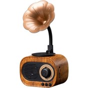 تصویر اسپیکر بلوتوثی گرامافون مدل B5 قهوه ای 