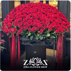 تصویر باکس گل شبنم رز 