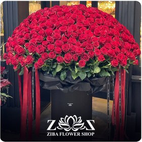 تصویر باکس گل شبنم رز 