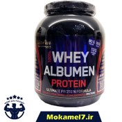 تصویر پروتئین وی آلبومین دکتر سان 2270 گرمی Dr Sun 100% whey albumin protein 2270 g