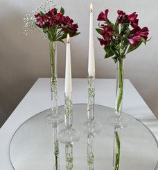 تصویر جاشمعی پیرکس نورسا 