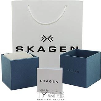 Skagen skw6425 hotsell