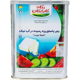 تصویر پنير گلپايگان 13 کیلوگرم 