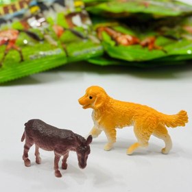 تصویر حیوانات شانسی 