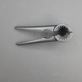 تصویر گردو شکن شنیا 