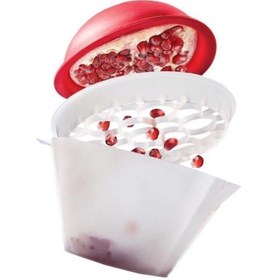 تصویر اناردون کن 