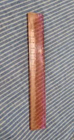 تصویر خط کش بیست سانت رزینی قرمز و صورتی 