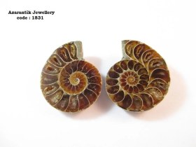 تصویر فسیل آمونیت اصل کد 1831 