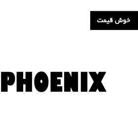 تصویر عدسی طبی اقتصادی فونیکس Phoenix 