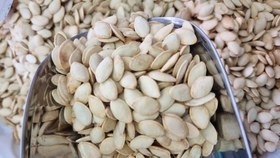 تصویر تخمه کدو گوشتی 