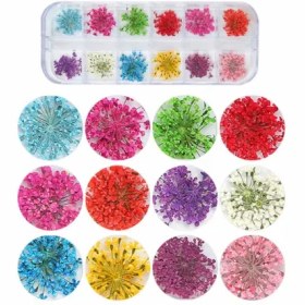 تصویر گل خشک تخت 