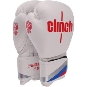 تصویر دستکش بوکس مدل Fiter pro 2025 - 12 