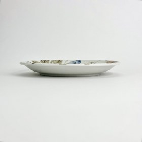 تصویر بشقاب مینو 