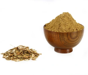 تصویر فروشگاه مشکدار