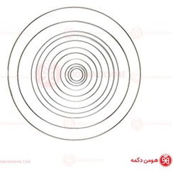 تصویر حلقه دریم کچر 