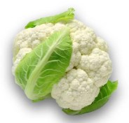 تصویر بذر گل کلم سفید 