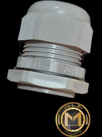 تصویر گلند pg 29 