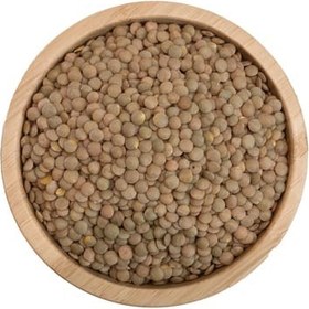 تصویر عدس درشت درجه یک 