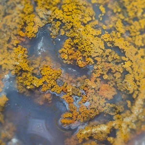 تصویر فروشگاه نگین باز