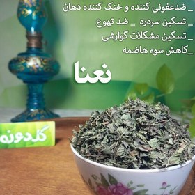 تصویر نعنا خشک ممتاز بدون چوب(50گرم)برگ نعنا - نعنا تمیز-عطاری گلدونه 