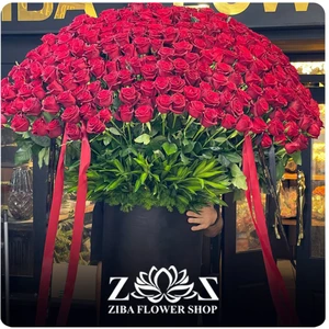 تصویر فروشگاه زیبا گل