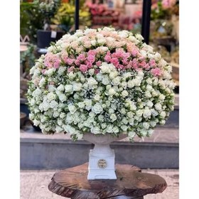 تصویر جام گل غول نامزدی 376 