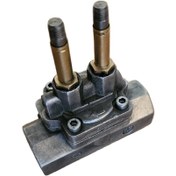 تصویر شیربرقی ایتالیای 