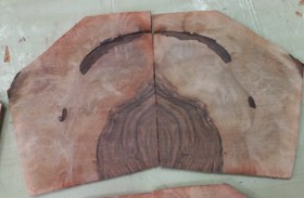 تصویر ریشه گردو ۱.۳۰۰گرم 