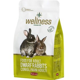 تصویر غذای خرگوش بالغ پادوان Wellness Adult 