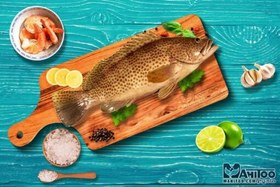 تصویر ماهی هامور سفيد 