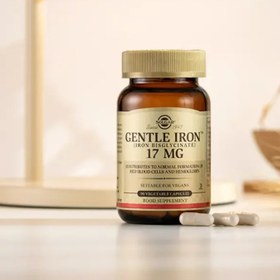 تصویر کپسول آهن ۱۷ میلی گرم برند سولگار 90 عدد Solgar Gentle Iron 17 Mg 90 Kapsül