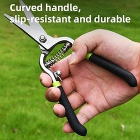 تصویر قیچی میوه چینی دلی مدل DL580123 