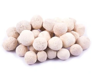 تصویر فروشگاه پالامی