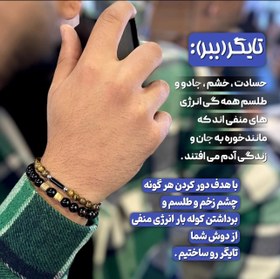 تصویر ببر TIGER