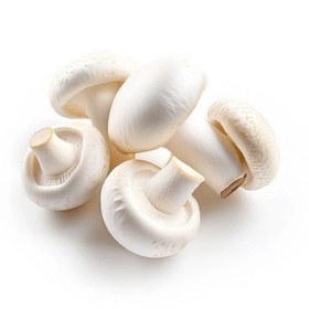تصویر قارچ 400 گرم mushroom
