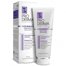 تصویر کرم بازسازی کننده مناسب انواع پوست سیکا وست پرودرما مدل Pro Derma Cicavest Repair Cream Pro Derma Cicavest Repair Cream 40ml