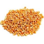 تصویر ذرت خام 