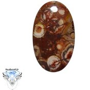 تصویر نگین جاسپر چشم پرنده طبیعی و ارزشمند 