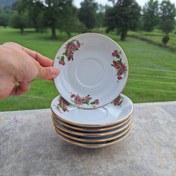 تصویر نعلبکی گلسرخی 