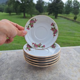 تصویر نعلبکی گلسرخی 