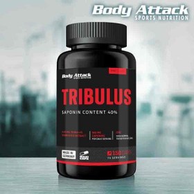 تصویر تریبلوس ۱۵۰ کپسول بادی اتک | tribulus 150 cap bodyattack 
