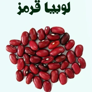 تصویر فروشگاه باغبان ارگانیک