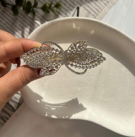 تصویر گیره فرانسوی زایا 