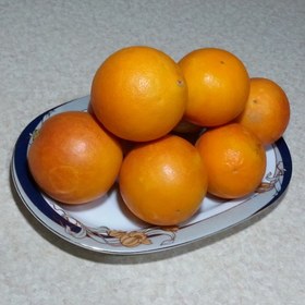 تصویر پرتقال خونی-ارسال رایگان- 10 کیلویی 