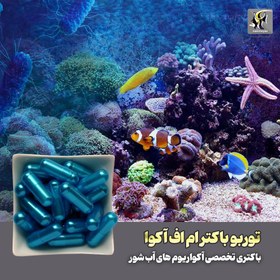 تصویر کپسول باکتری آب شور توربو باکتر ام اف آکوا MFaqua marine dynamite