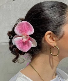 تصویر کلیپس ارکیده - 5 