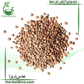 تصویر عدس ریز 