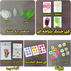 تصویر گل خشک 